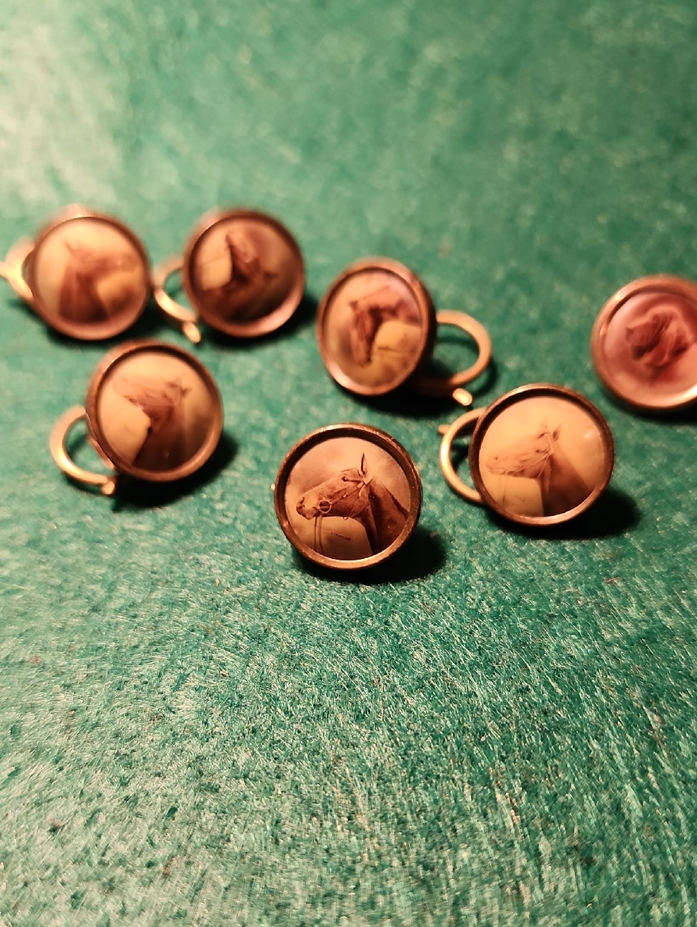 Antique Horse Portrait Buttons in a Sepia Tone
